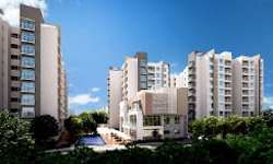 Residential Buildings